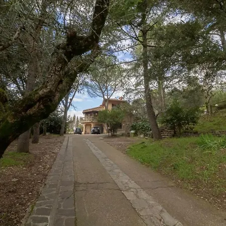 Utilia Into The Wild *