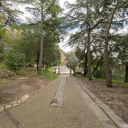 Utilia Into The Wild * Perugia