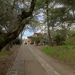 Utilia Into The Wild *
