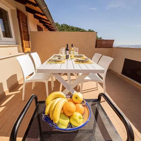 Apartment Utilia Into The Wild *